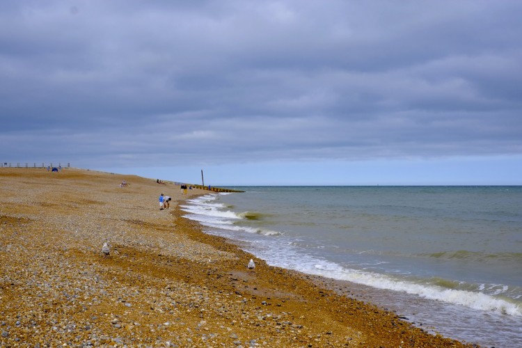 Hastings Beach 2