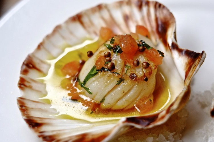 Seared Scallops with Sauce Vierge