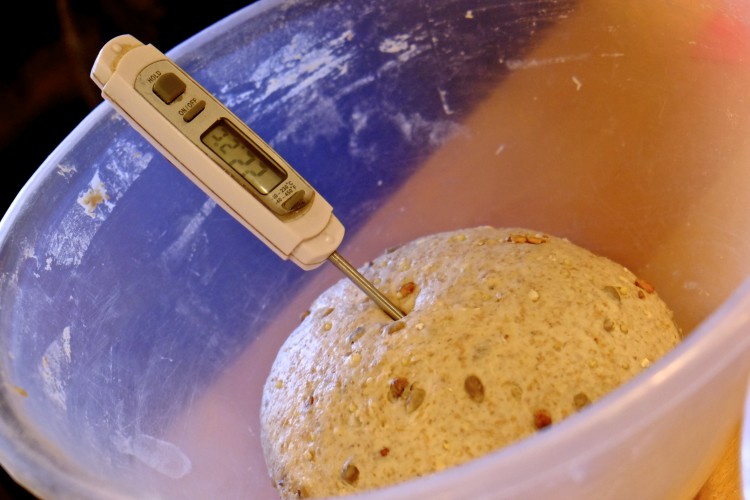 Thermometer in Dough