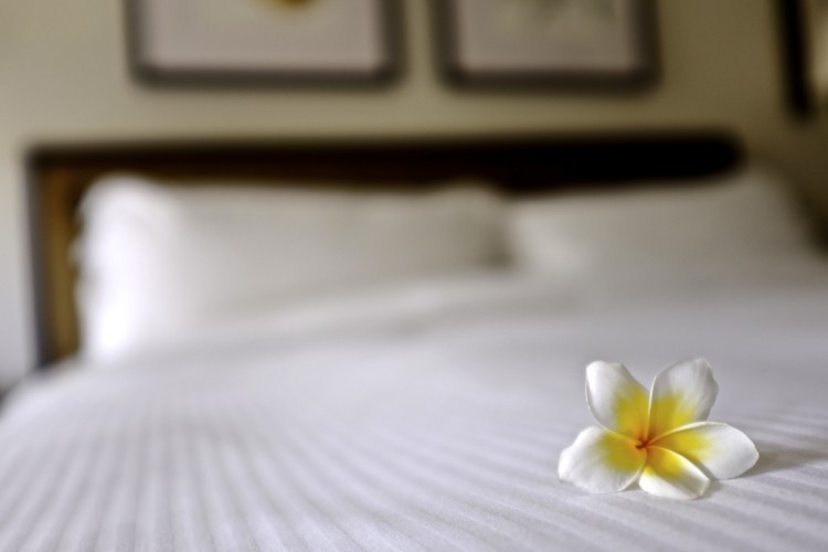 Flower on bed
