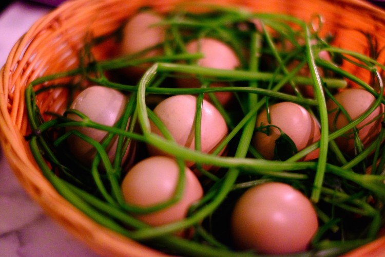 Pheasant's Eggs