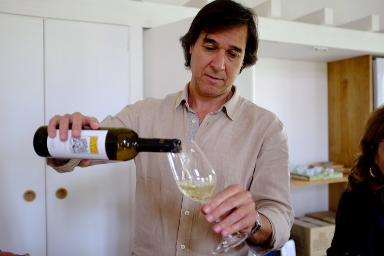 Pedro Pouring Wine
