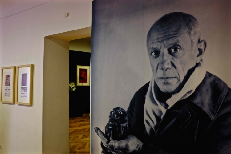 Picasso Exhibition 2